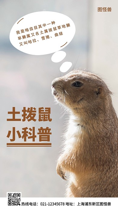 土拨鼠科普棕色简约风手机海报