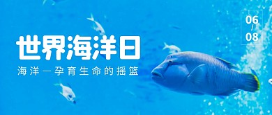 蓝色摄影风世界海洋日公众号封面首图