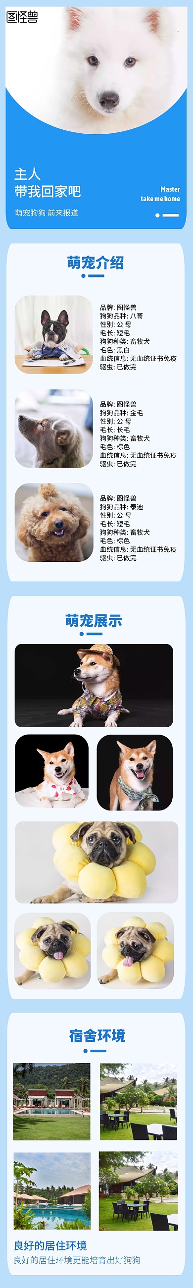 宠物之家蓝色简约淘宝详情页狗狗	