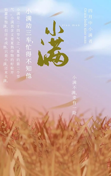 你好小满二十四节气绿色简约文艺手机海报