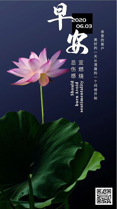 蓝色荷花北京早安客户日签