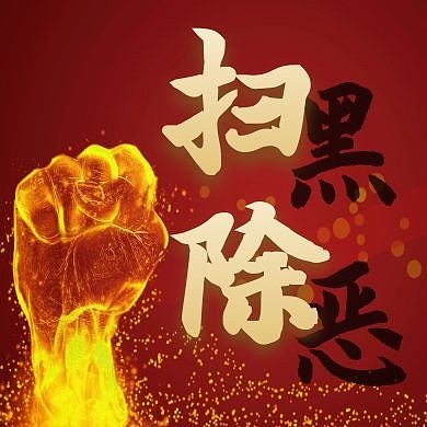 重拳扫黑除恶公众号次图