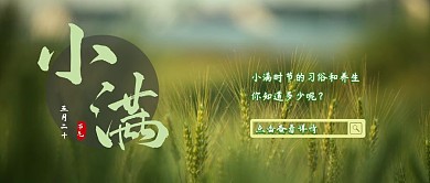 小满节气满足节气绿色简约公众号封面首图