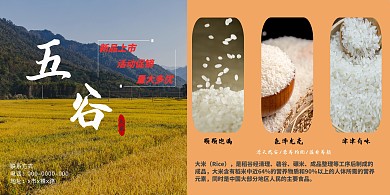 2020五谷大米浅棕简约风格宣传印刷