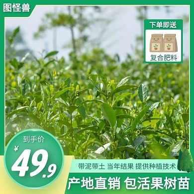 绿色大气水果苗电商主图直通车