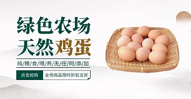 笨鸡农产品家禽淘宝移动banner