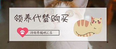 领养代替购买猫咪爱心可爱公众号封面
