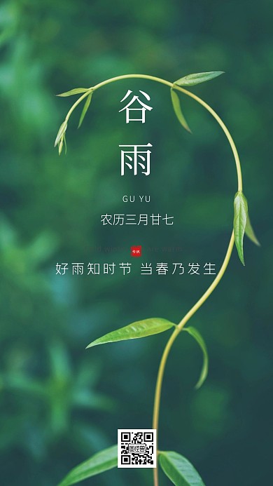摄影风24节气谷雨手机海报