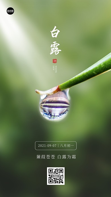 白露二十四节气祝福简约秋天手机海报