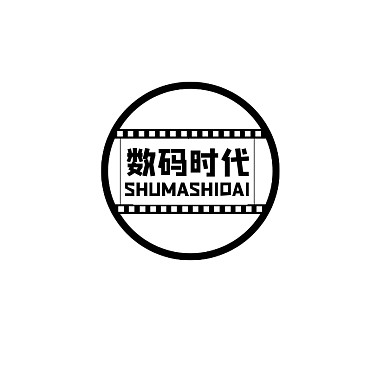 数码时代logo宣传推广黑色通用