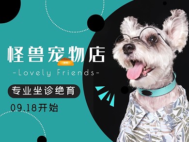 简约大气宠物绝育美团主图