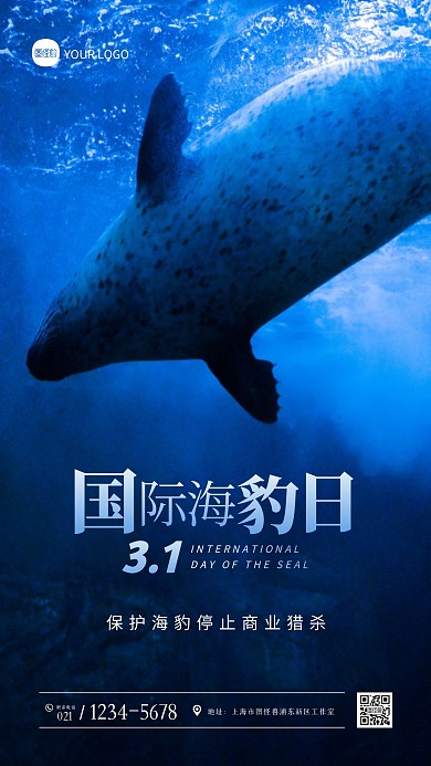 国际海豹日蓝色简约大气摄影图海报