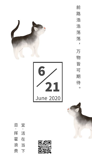 早安日签励志简约猫白色