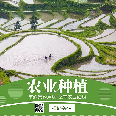 简约农业绿色公众号正方形配图关注二维码