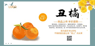 丑橘新品上市促销宣传海报