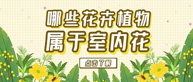 花卉植物室内花黄色公众号封面首图