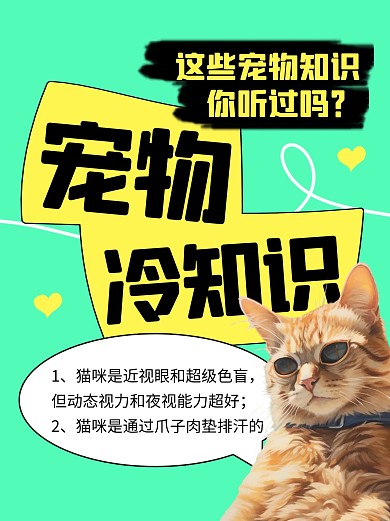 宠物冷知识分享猫咪冷知识创意小红书封面