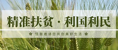 精准扶贫庄稼绿色简约各种首图