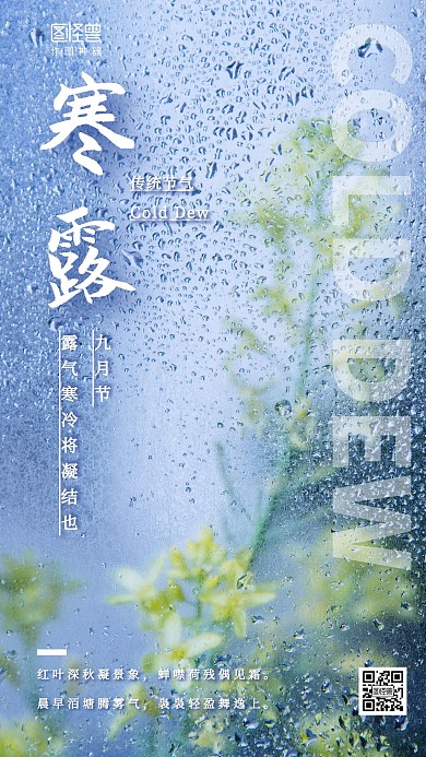 蓝白露珠摄影图寒露传统节气手机海报