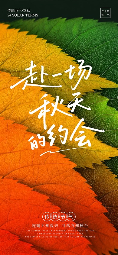 简约风摄影风立秋节气宣传海报