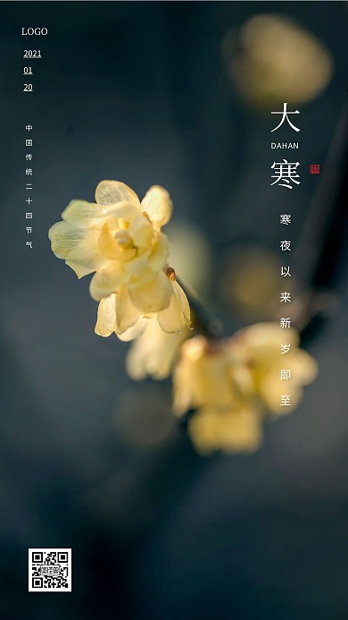 摄影图简约二十四节气大寒晚安问候日签