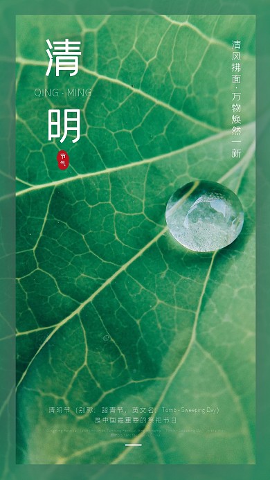 简约清明节踏青祭奠手机海报