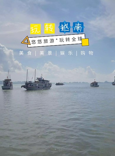 玩转越南旅游海报