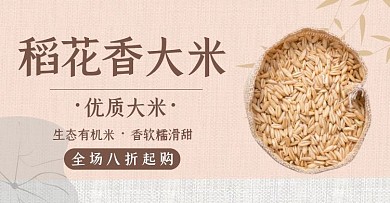 稻花香大米促销简约灰色banner