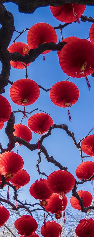 春节营销手机海报春节年味长图 