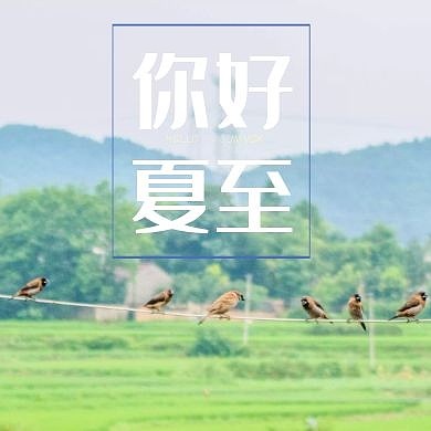 季节草地小鸟夏至绿色简约公众号次图