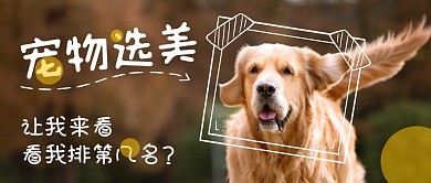 宠物选美公众号封面首图
