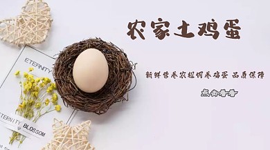 农家土鸡蛋红包公众号封面