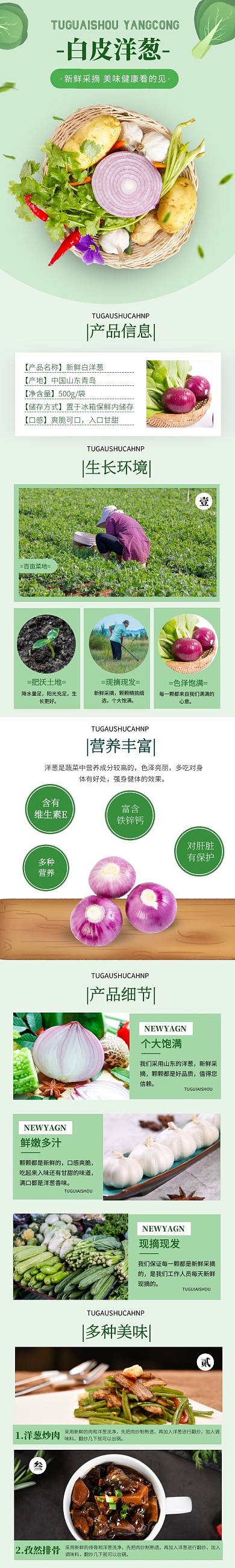 简约大气绿色健康新鲜白洋葱介绍详情页面