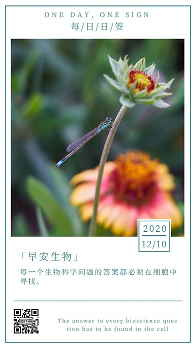 每日一题生物问题红色简约风宣传日签