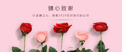 文艺清新浪漫感恩感谢玫瑰粉色公众号首图