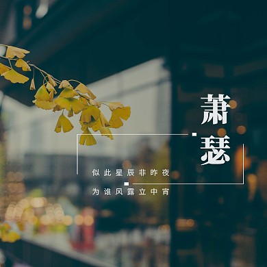 秋天萧瑟的景象秋叶枯黄CD