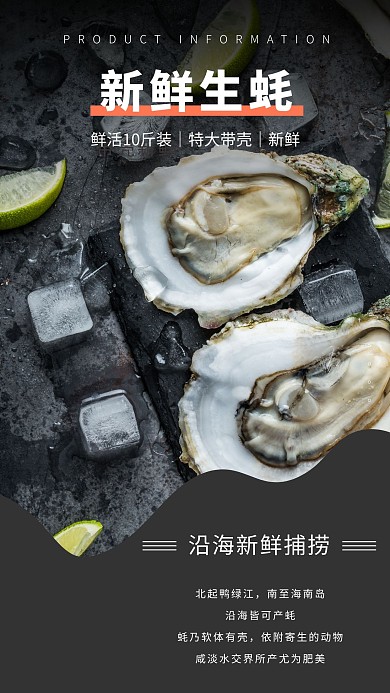 生蚝海鲜简约现代黑食品美食照片相册写真
