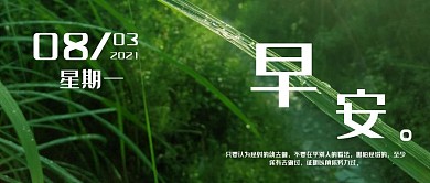 周一早安绿色简约首图