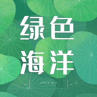 荷叶绿公众号封面次图