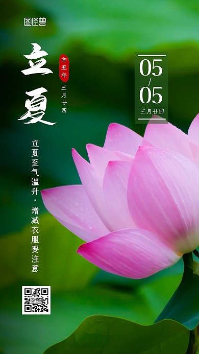 绿色摄影风立夏节气祝福宣传海报