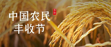 简约大气摄影风中国农民丰收节公众号封面