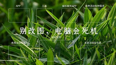 护眼绿色植物简约大气扁平电脑桌面