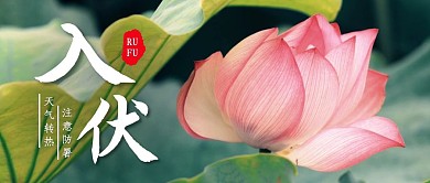 三伏天入伏祝福公众号封面