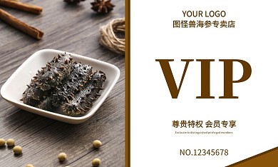 棕色简约海参VIP会员卡