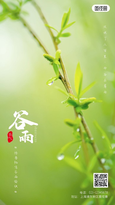 简约风谷雨节气祝福摄影图海报