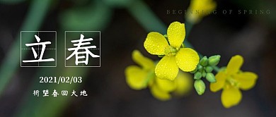 立春已至