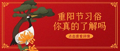 红色质感重阳节习俗公众号封面