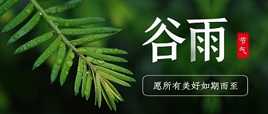 简约谷雨节气祝福公众号封面