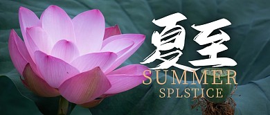 夏至节气节日祝福公众号封面首图
