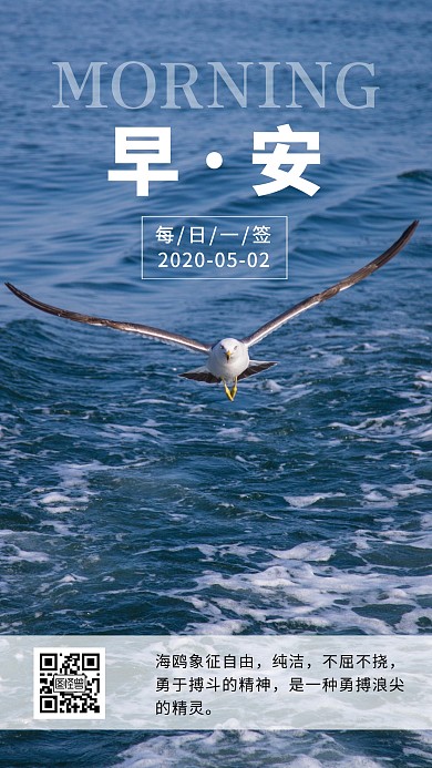 海鸥摄影励志早安简约日签海报